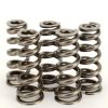Auto Springs
